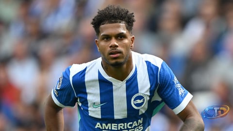 How to Watch Sunderland vs Brighton Live Streams Worldwide