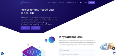 Is DataImpulse Proxy Service Worth It for Security-Conscious Users?