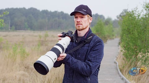 How Sony’s 400-800mm Super-Telephoto Zoom and A7R VI Enhance Bird Photography