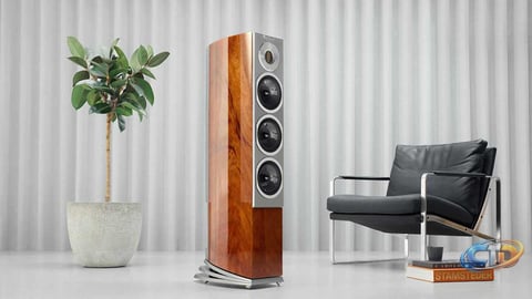 Why Audiovector's R 5 Arreté Speaker Is a Stunning Investment for Audio Enthusiasts