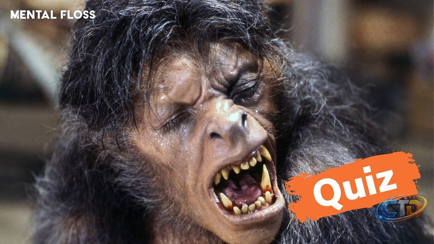 Quiz: Only True Horror Fans Can Match These Creepy Locations to Their Movies