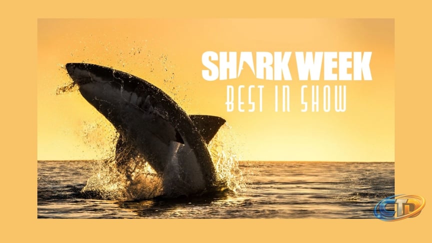 Discovery's Shark Week kicks off Sunday with 7 nights of new specials -  lehighvalleylive.com