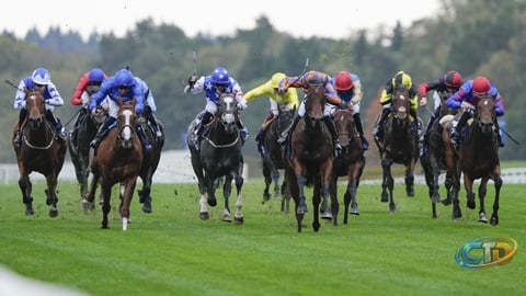 How to Watch British Champions Day 2026 Live and Free Streams