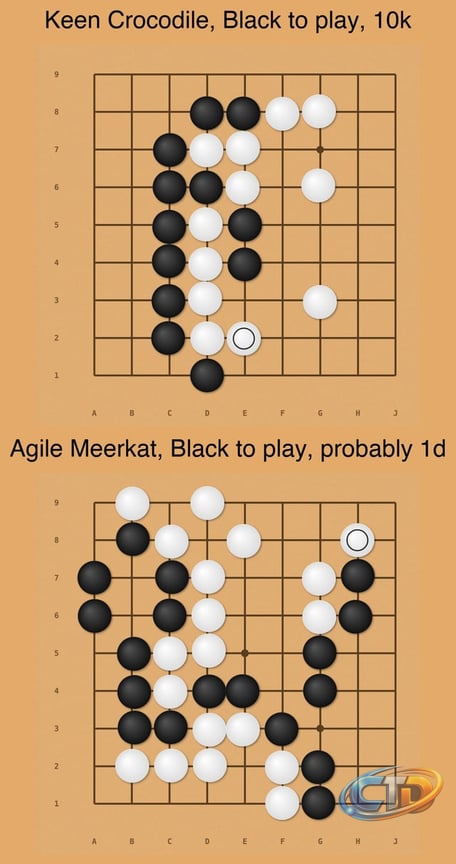 Go/Weiqi/Baduk - Captivating humanity for thousands of years, one game at a  time.