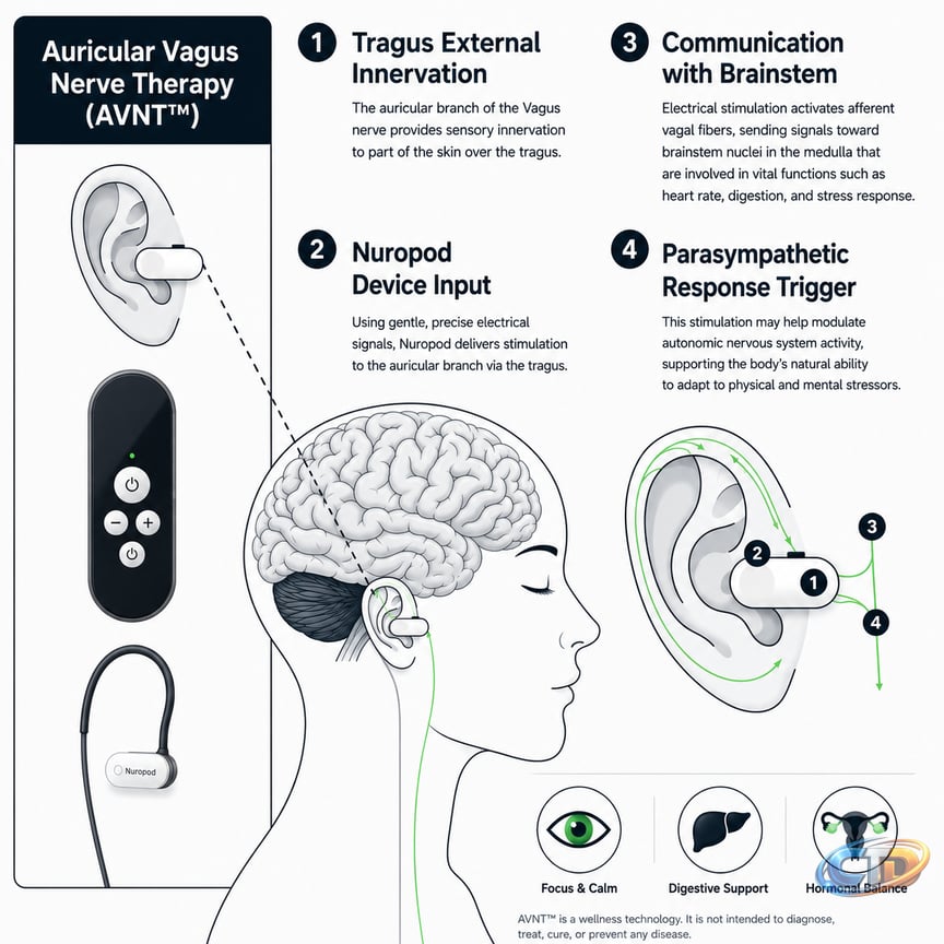 Best Vagus Nerve Stimulation Device in 2026: Scientific Guide – Nuropod