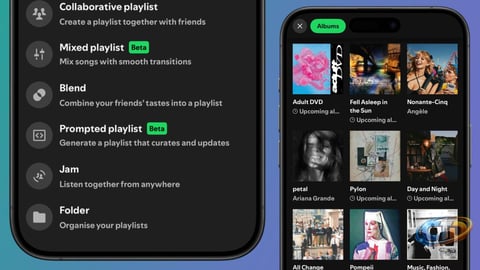 Why Spotify Needs Album Folders for Better Music Organization