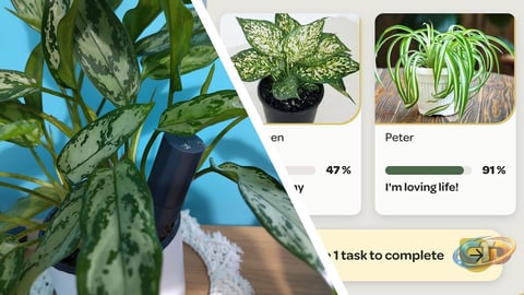 How Smart Sensors Like Willow Improve Houseplant Care