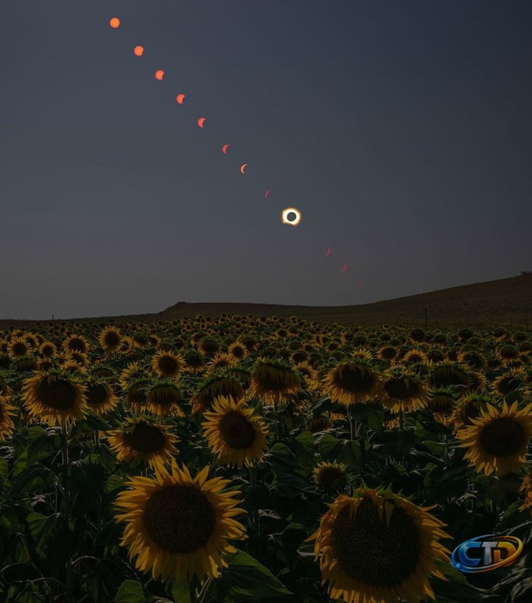 The most breathtaking photos of the total solar eclipse | New Scientist