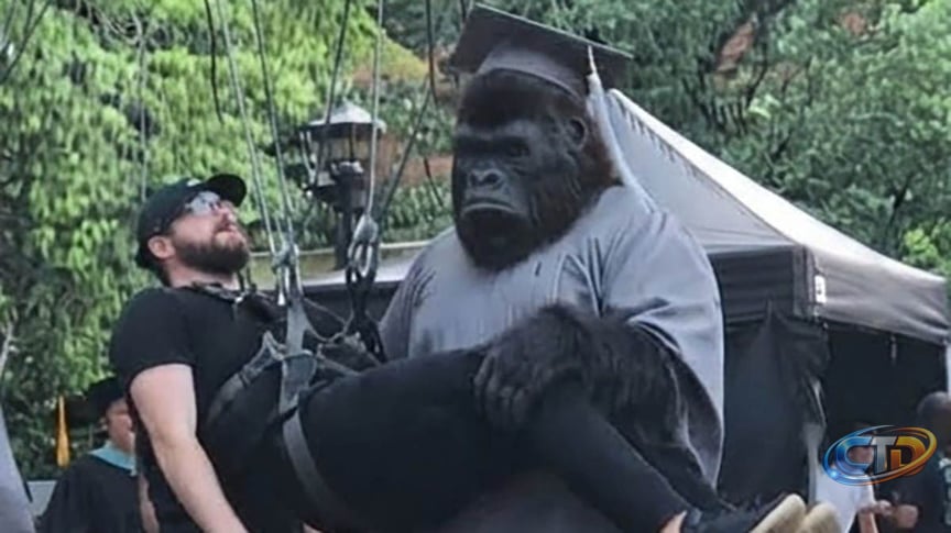 First Look at The People v Gorilla Grodd: What HBO Max Fans Need to Know