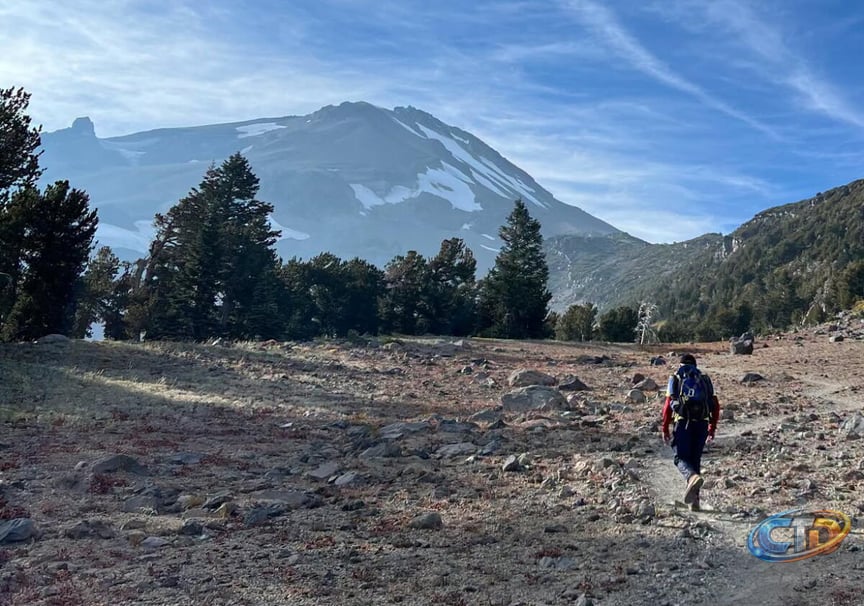 Hikers following Google Gemini AI route become stranded on Mt. Shasta - Los  Angeles Times