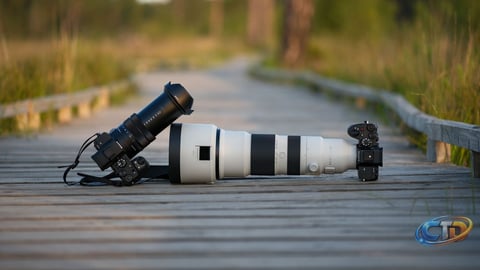 Sony RX10 V vs Mirrorless with Superzoom: Which is Best for Wildlife?
