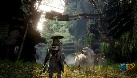 Game Freak's 'Beast of Reincarnation' Prioritizes Gameplay Over Graphics