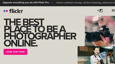 Flickr Data Breach: What Users Need to Know