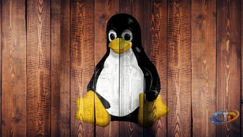 Urgent Linux Kernel Security Flaws: What You Need to Know and Do Now