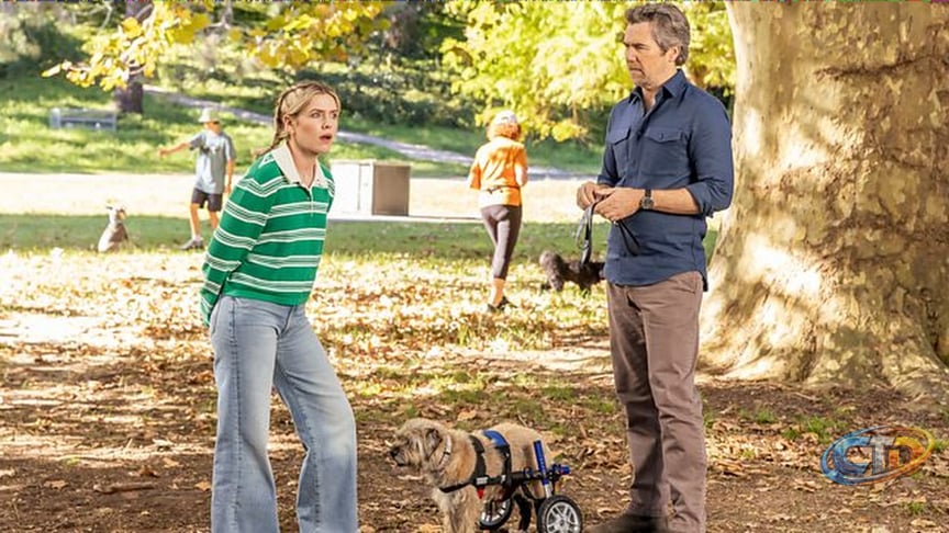 How to watch Colin From Accounts season 3 for FREE | TechRadar
