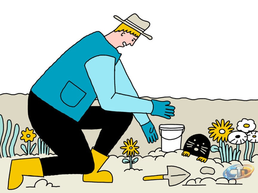 NYT Strands Hints for Aug. 14, 2026 - The New York Times