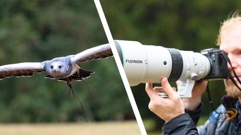 Fujifilm XF 400mm F4.5 R LM OIS WR: Should Wildlife Shooters Consider It?