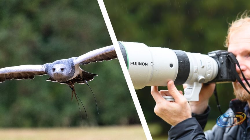 Fujifilm XF 400mm F4.5 R LM OIS WR: Should Wildlife Shooters Consider It?