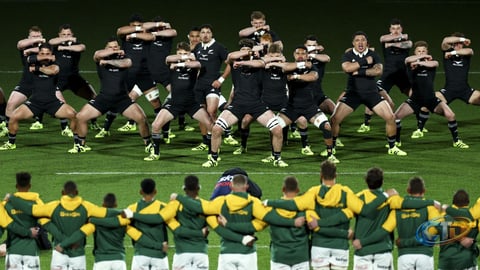 How to Watch South Africa vs New Zealand 1st Test Live for Free