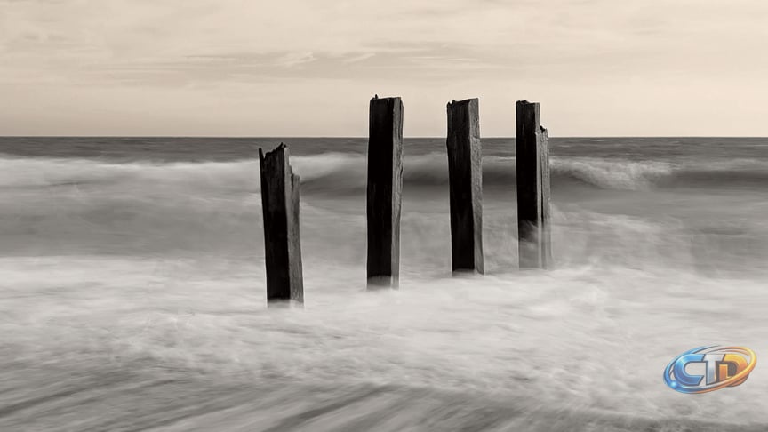 I'm a pro photographer, and the best photo I took this month was shot on my Google  Pixel 8 Pro, using a feature iPhone owners would give their right arm for |