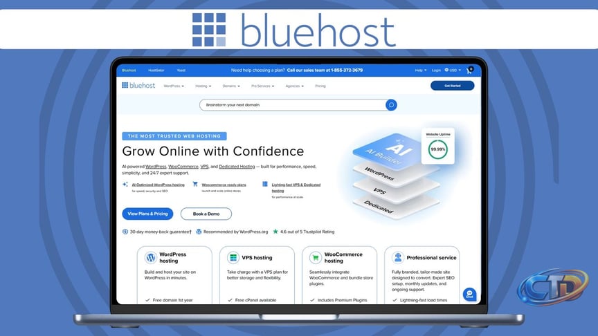 Is Bluehost VPS Hosting Worth It? A Detailed Review