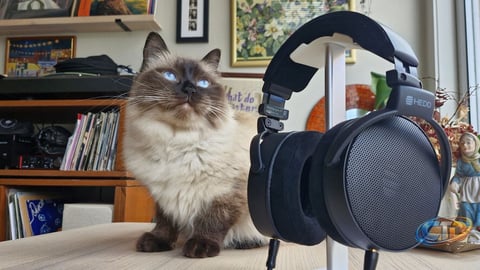 HEDDphone D1 Review: Who Should Buy These Open-Back Headphones?