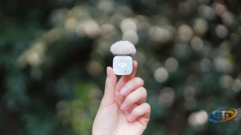 DJI Mic Mini 2S vs. Mic Mini 2: What Wireless Mic Buyers Should Know