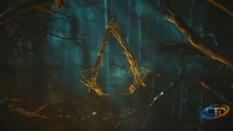 Impact of Creative Director Change on Assassin's Creed Hexe