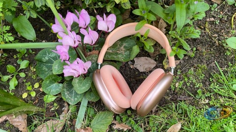 Why AirPods Max 2 Are Among the Best Noise-Cancelling Headphones for iPhone Users