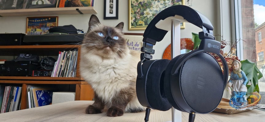 HEDDphone D1 headphones review: unequivocally the best over-ear headphones  I've ever tested | TechRadar