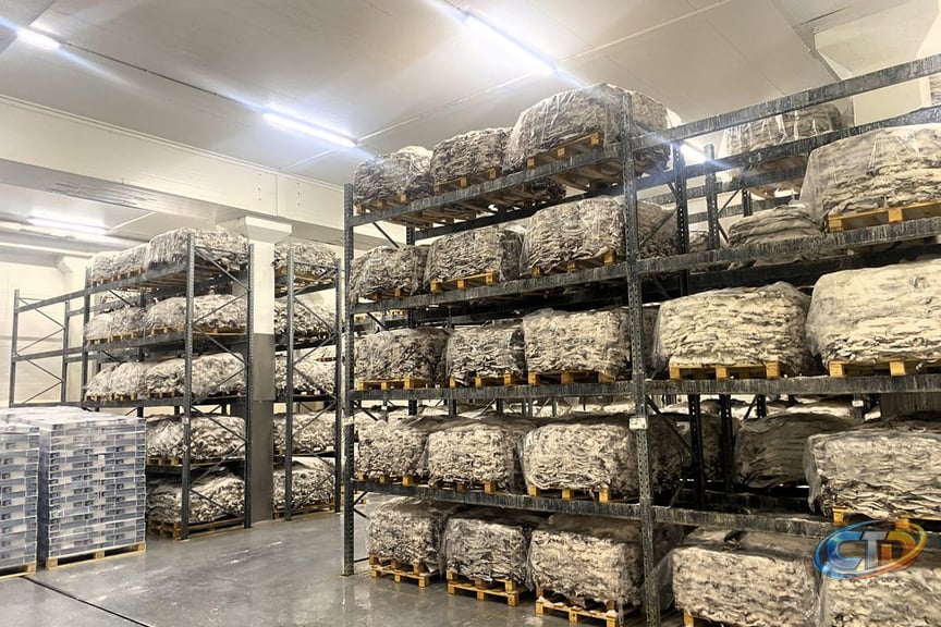 Cyberattack hits Nichirei frozen food, logistics