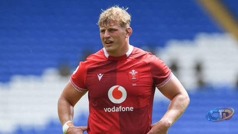 How to Watch Argentina vs Wales Live for Free - Nations Championship 2026