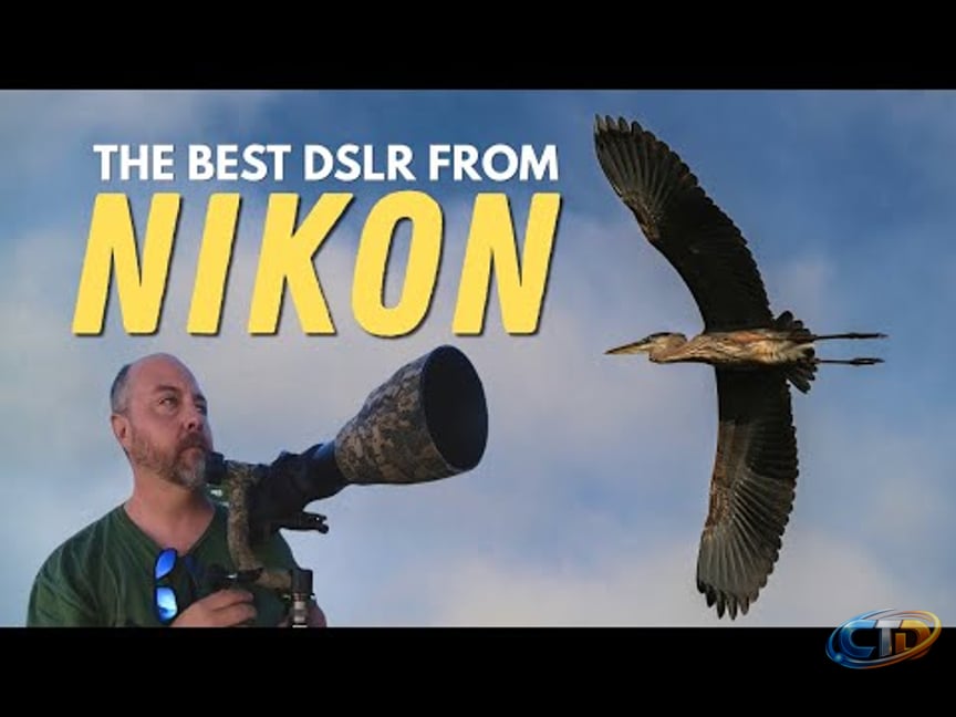The D850 Is Nikon's Best Wildlife Photography Camera - YouTube