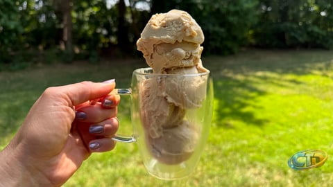 Healthier Ninja Creami Recipes Without Artificial Sweeteners