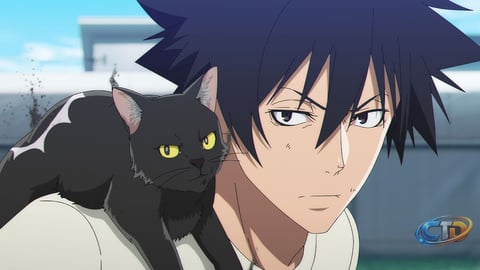 What to Expect From the Second Half of BLACK TORCH on Crunchyroll