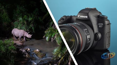 Why Second-Hand DSLRs Are Ideal for Wildlife Photography