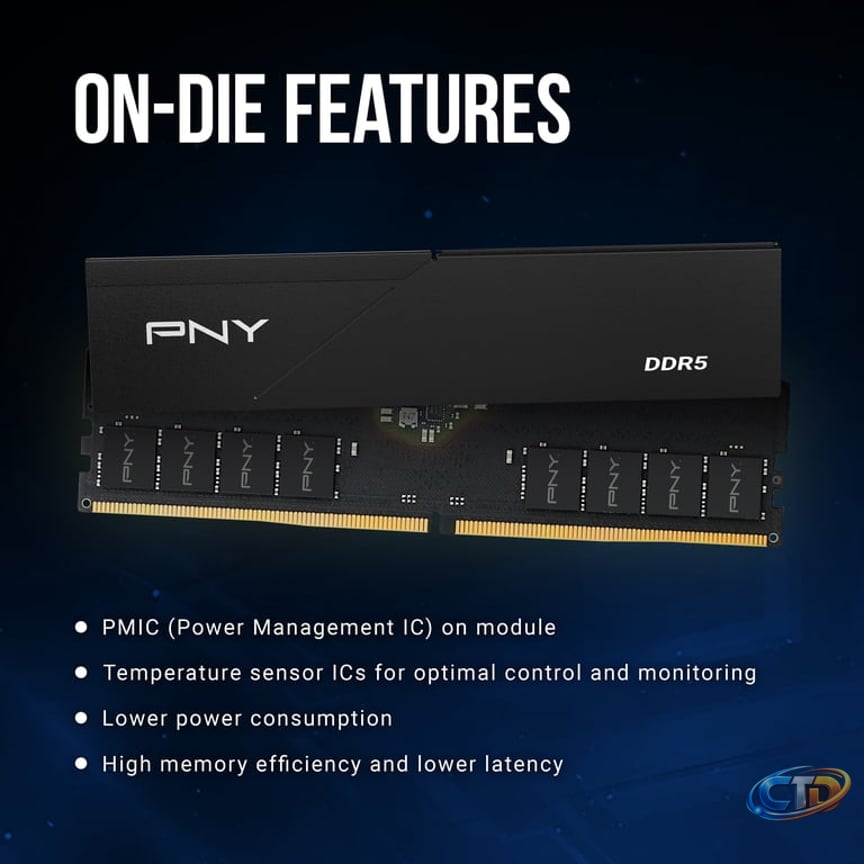 PNY Low Profile 32GB DDR5 RAM 5600MHz Desktop Memory Kit - Walmart.com