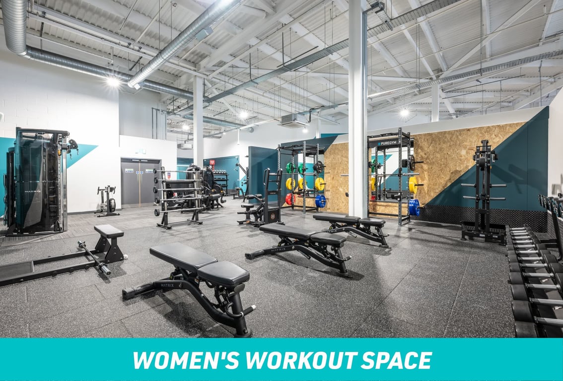 PureGym Nuneaton Women's Workout Space: Dumbbells and benches 