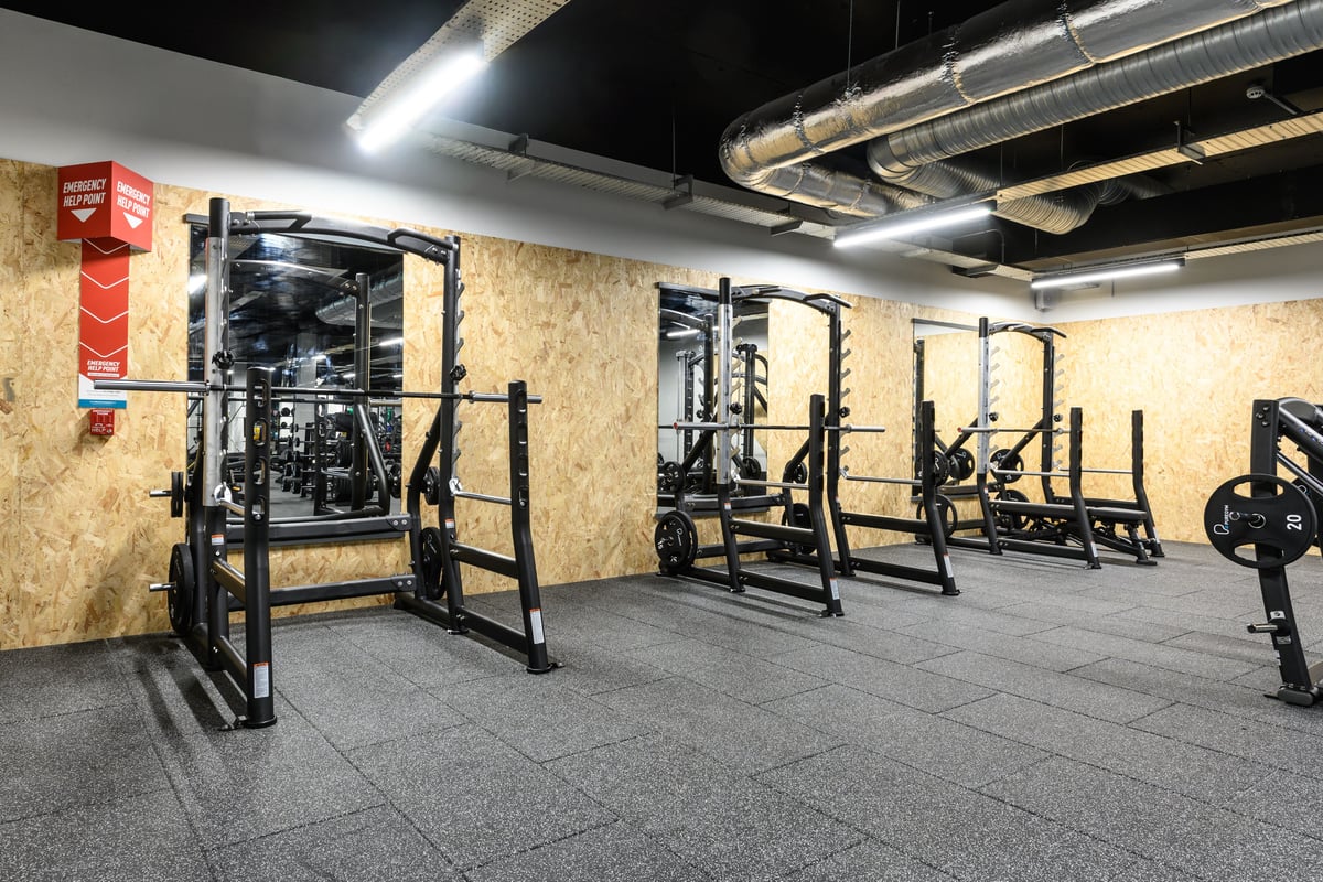 PureGym Sale squat racks
