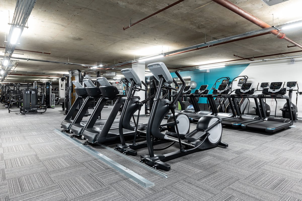 PureGym London Angel: Rows of treadmills, ellipticals, and strength machines in an underground gym space.