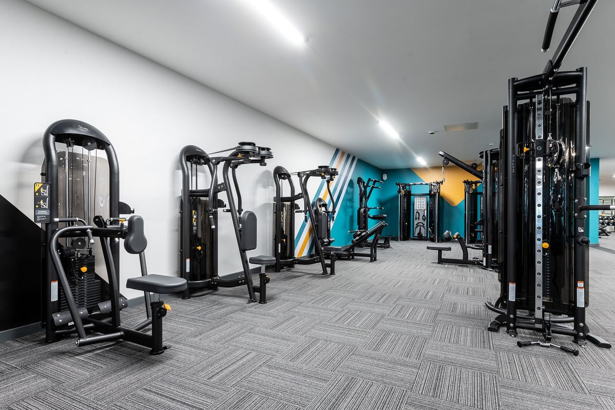 PureGym Tyldesley: Resistance machines, cable crossover stations, weight stacks on floor plates in a brightly lit room.