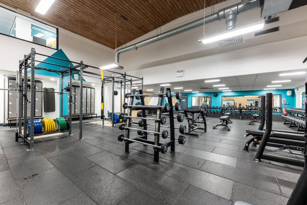 PureGym London Muswell Hill: Strength racks, weight benches, free weights, rubberized floors in a gym with teal accents.