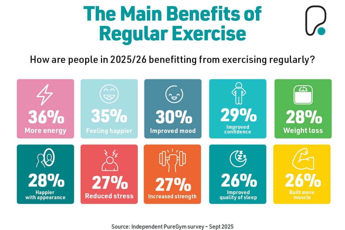 The main benefits of regular exercise graphic
