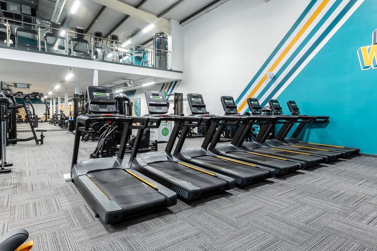 PureGym Macclesfield Silk Road: Rows of treadmills, bright teal accent wall, industrial ceiling in fitness centre.