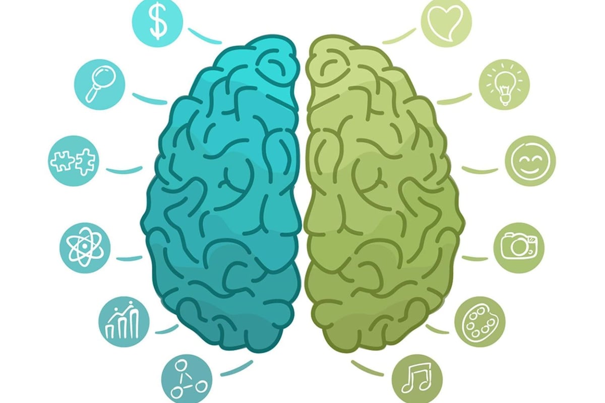 brain graphic