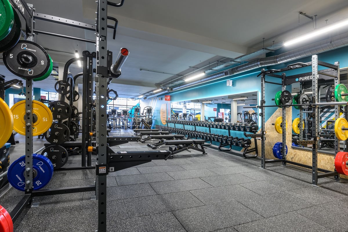 Structure de gym robuste avec haltères, disques bumper et plateformes d’entraînement
