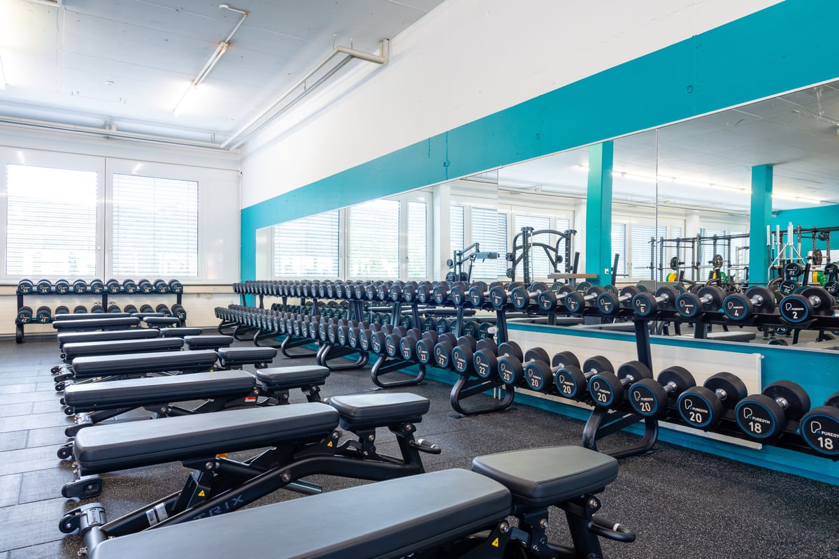 Wettingen Free Weights