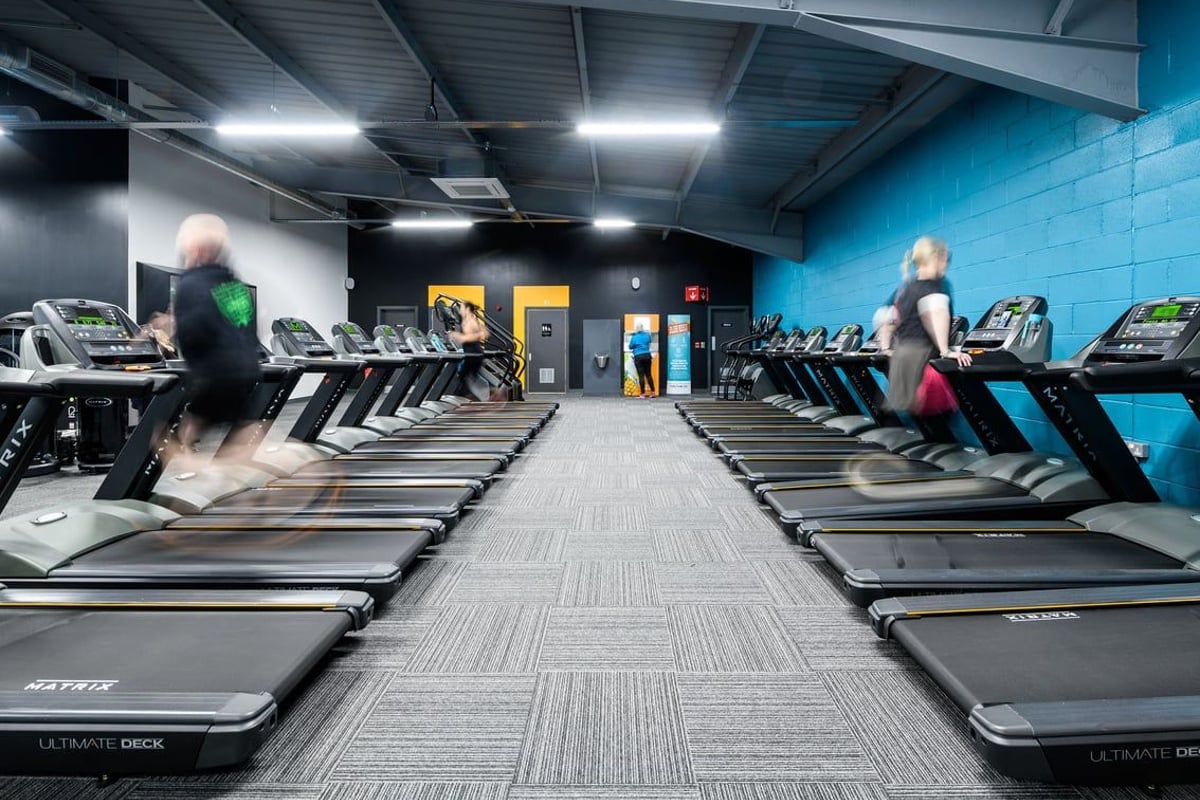PureGym Southend Fossetts Park: Rows of treadmills, blue-accented walls, and fitness machinery in a modern gym setting.