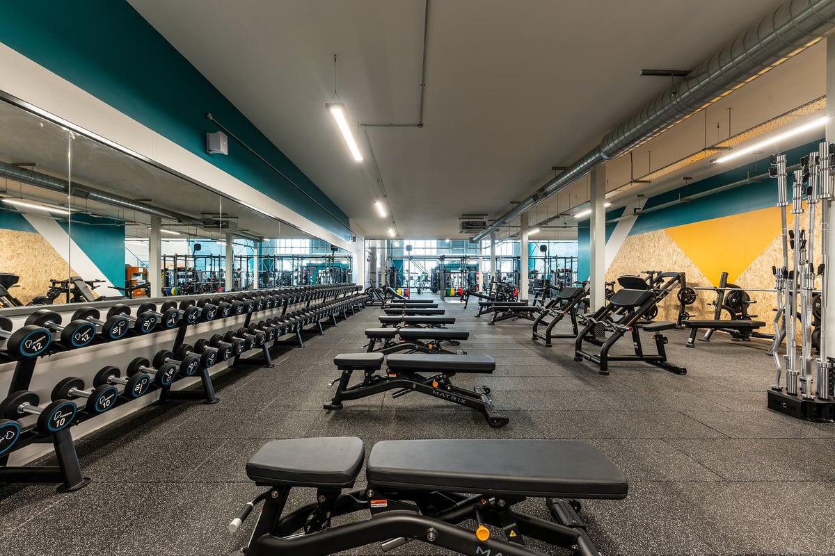PureGym Liverpool Edge Lane: Rows of free weights, weight benches, and rubberized flooring in a gym with teal accent walls.