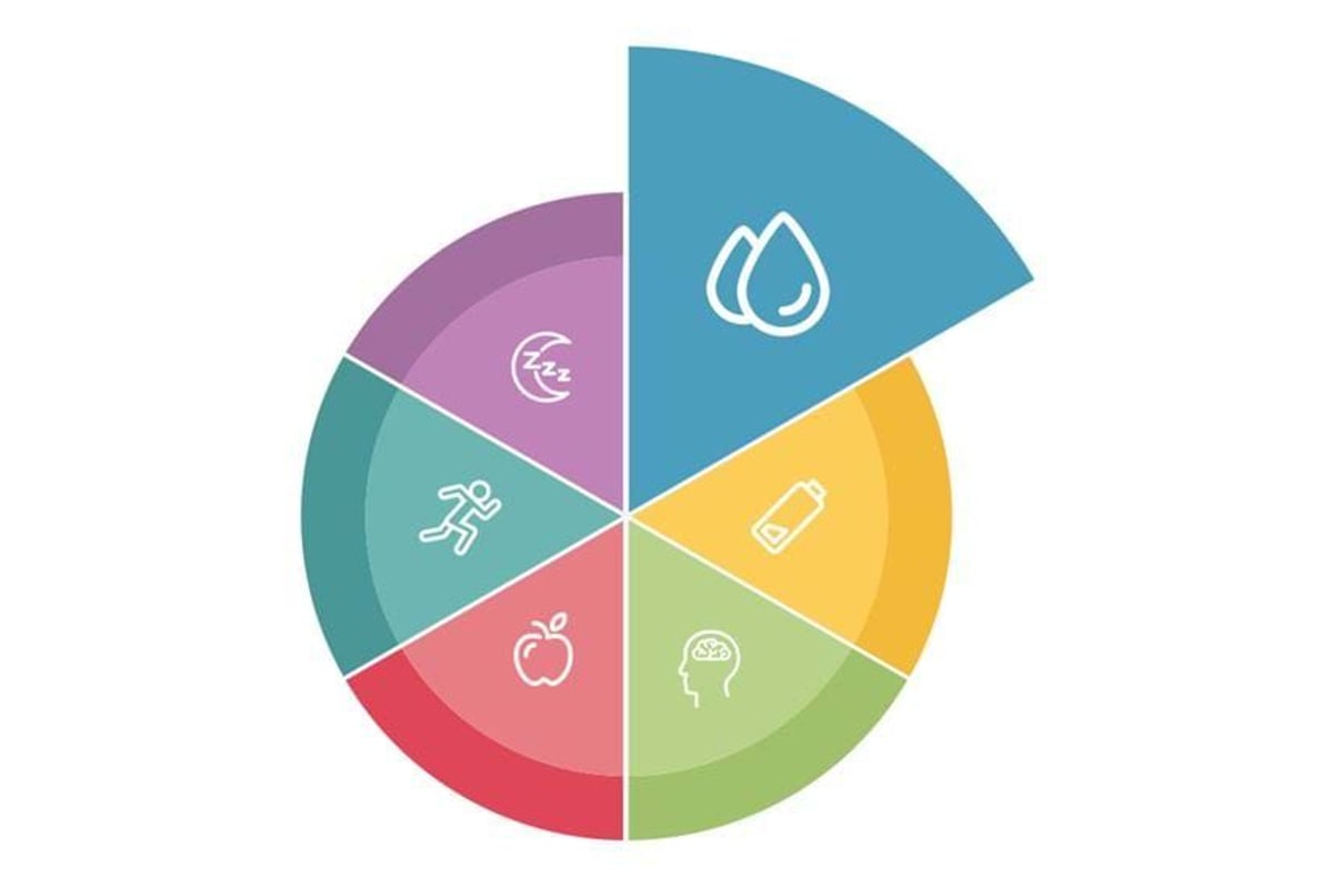 Circular chart with six coloured segments showing icons of water, battery, brain, apple, r